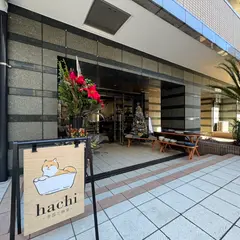 食器と雑貨 hachi