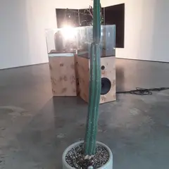 Lisson Gallery