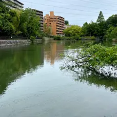 高町池