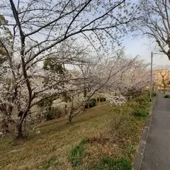 くちなし公園