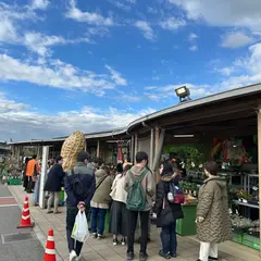 観光案内所（道の駅 木更津うまくたの里）