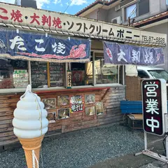 ポニー