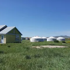 Elsen tasarkhai Ger Camp