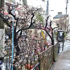 久保前橋