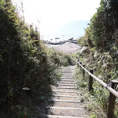 関東ふれあいの道（荒崎・潮騒のみち）