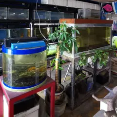 砂辺水園