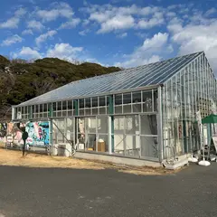世界の昆虫爬虫類王国(東京ドイツ村)