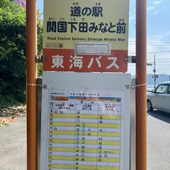 道の駅開国下田みなと前（バス）