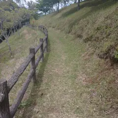 天城さくらの里公園