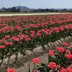 今在家農村公園
