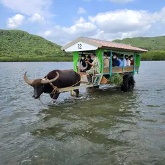 由布水牛車乗場