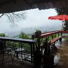Hmong Doi Pui Family Coffee