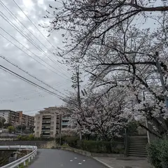 砂子谷新池