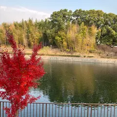 ヒコーキ遊園
