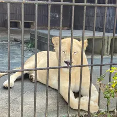 東北サファリパーク