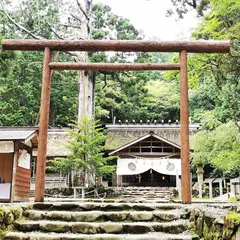 元伊勢内宮皇大神社 二の鳥居（黒木鳥居）