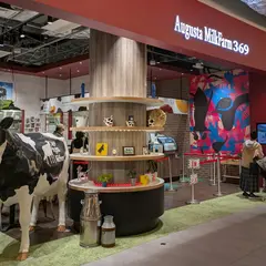 Augusta MilkFarm