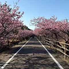 白砂公園