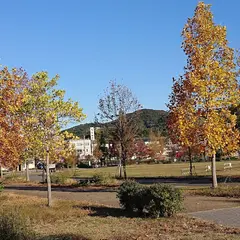 石川河川公園