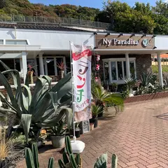 ドライガーデンと観葉植物の専門店 Ny Paradisa（ニィ・パラディッサ）