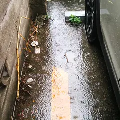 カーボーイ 泉町1丁目