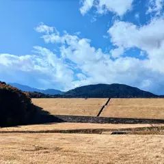 宮川調整池