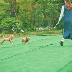 にぎわいの森ドッグラン