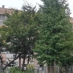 川口市立東本郷小学校