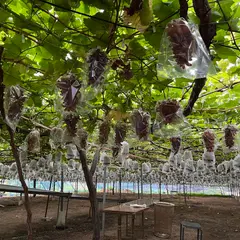 将門園