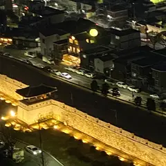 フライング水原(熱気球から世界遺産を見る)