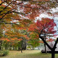 宇都宮市森林公園