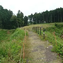 諏訪原城跡
