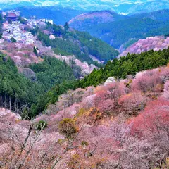 葛花堂