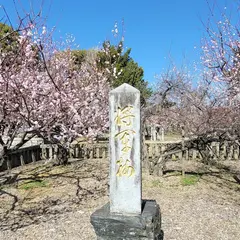 宮ノ陣神社