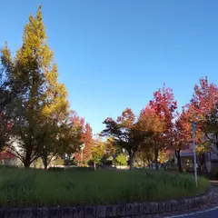 みずき台中央公園