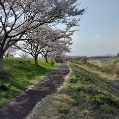 桜づつみ園