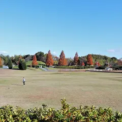 大芝生広場