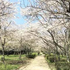 太宰府市民の森