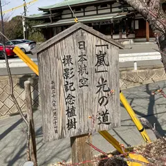 「嵐」光の道 日本航空撮影記念樹