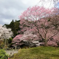 春谷寺
