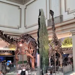 Smithsonian National Museum of Natural History Store