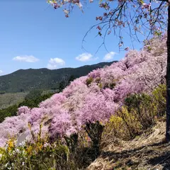 天空の庭 高見ノ里