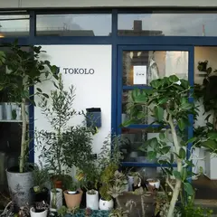 Flower&Green TOKOLO