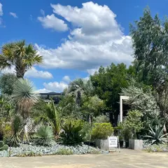 ＳＡＮＴＡＡＮＡ・ｇａｒｄｅｎ