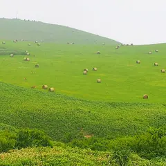 ㈱宗谷岬牧場