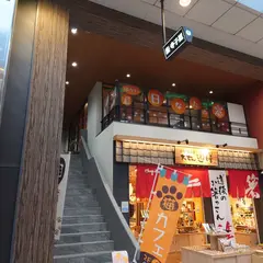 猫カフェ 日なたの窓