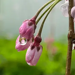 南松原公園