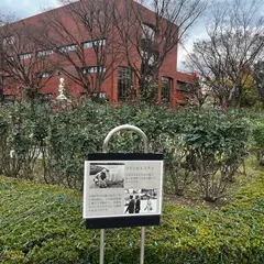 石橋文化センター 著名人のバラ園