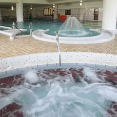 天然の湯ながおか温泉