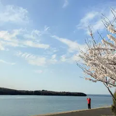 閨ポケットパーク太公望